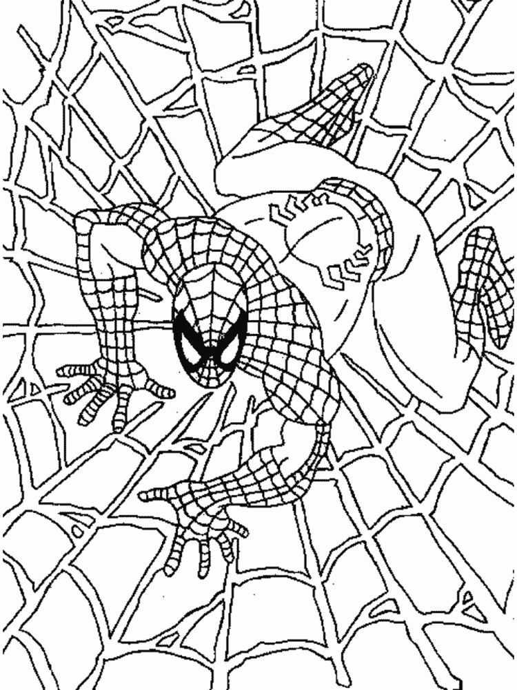 Desenhos Para Pintar e Colorir Homem Aranha - Imprimir Desenho 030